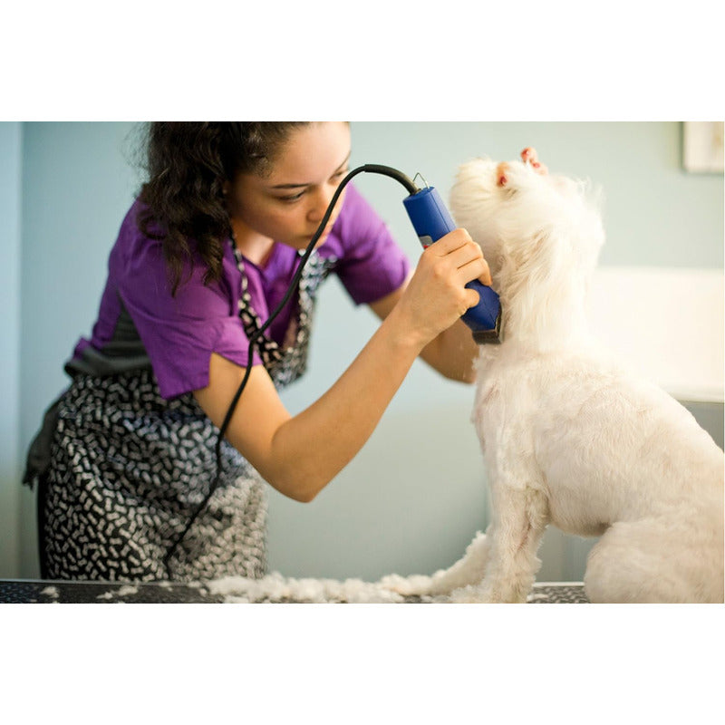 Máquina Rasuradora Para Perros Y Mascotas Profesional De Uso Rudo Andis 2 Velocidades Cuchilla 10 Desmontable Agc2 23320