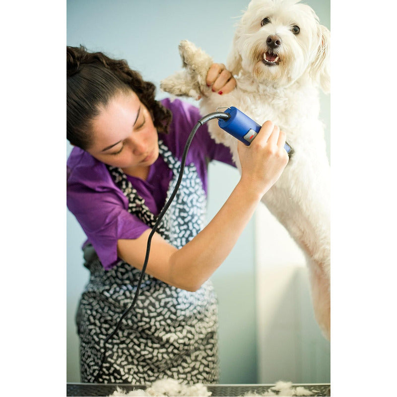 Máquina Rasuradora Para Perros Y Mascotas Profesional De Uso Rudo Andis 2 Velocidades Cuchilla 10 Desmontable Agc2 23320