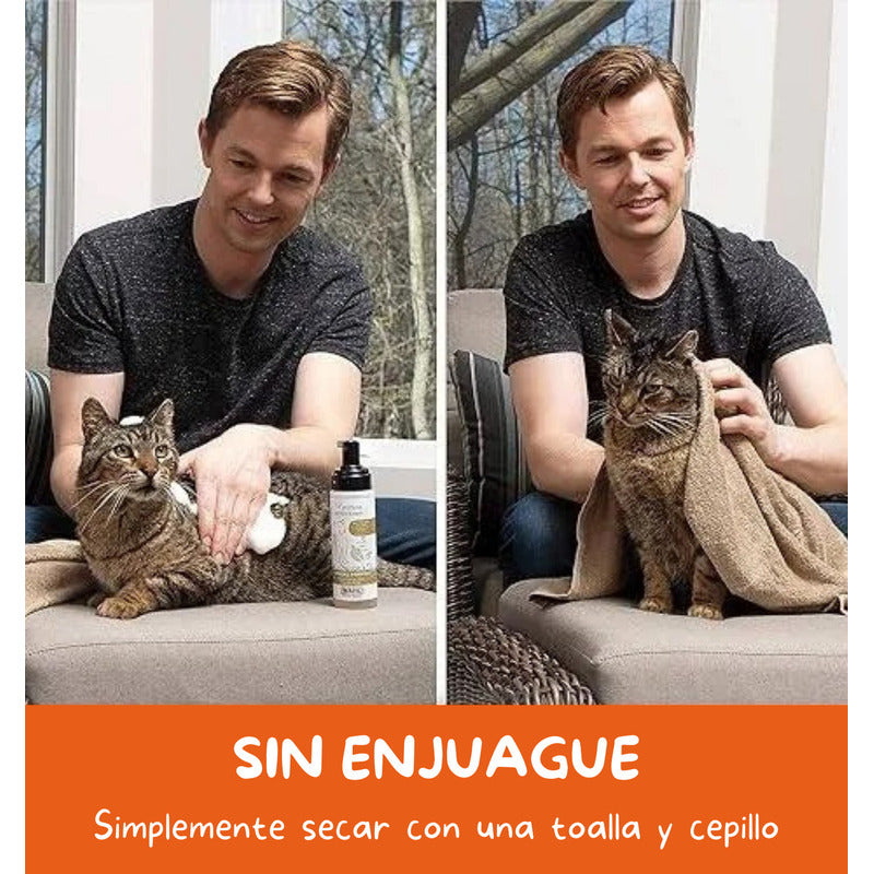 Shampoo Seco Para Gatos Wahl Libre De Enjuague Formula De Avena Fragancia Coco Lima Verbena