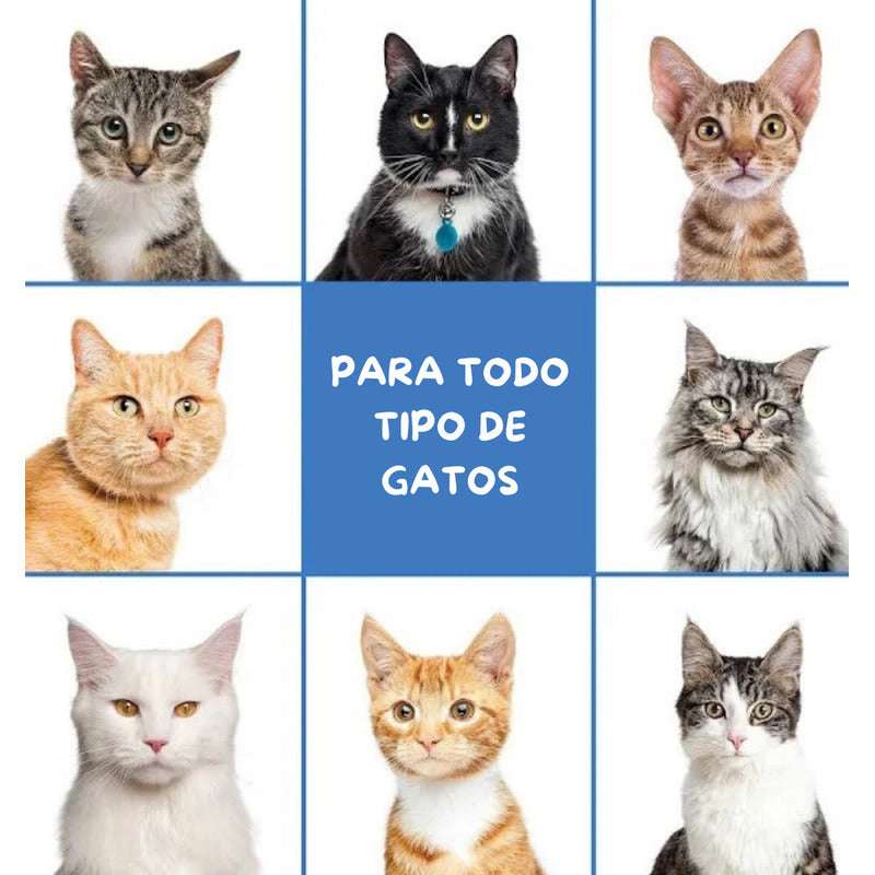 Shampoo Seco Para Gatos Wahl Libre De Enjuague Formula De Avena Fragancia Coco Lima Verbena