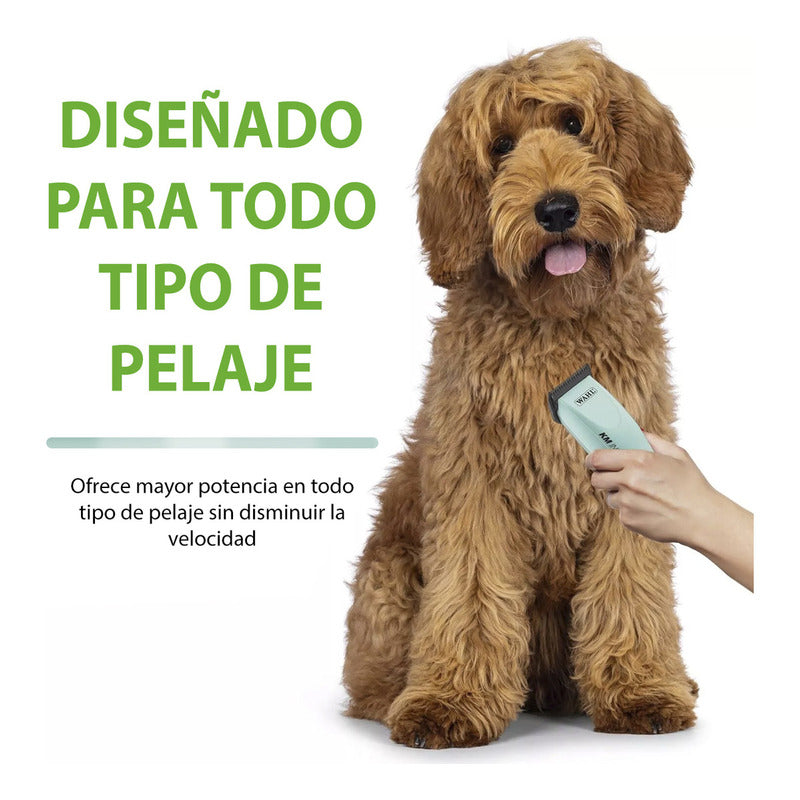 Rasuradora Perro Inalambrica Wahl Profesional Km10 Inspire Color Agua
