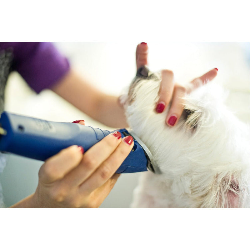 Máquina Rasuradora Para Perros Y Mascotas Profesional De Uso Rudo Andis 2 Velocidades Cuchilla 10 Desmontable Agc2 23320