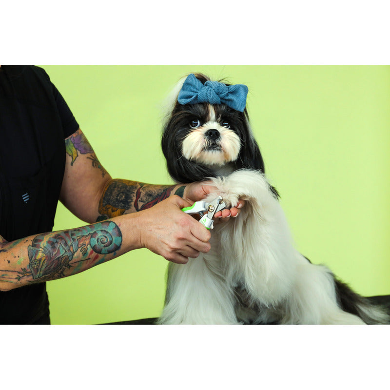 Corta Uñas Para Mascota Andis Perros/gatos Acero Inoxidable