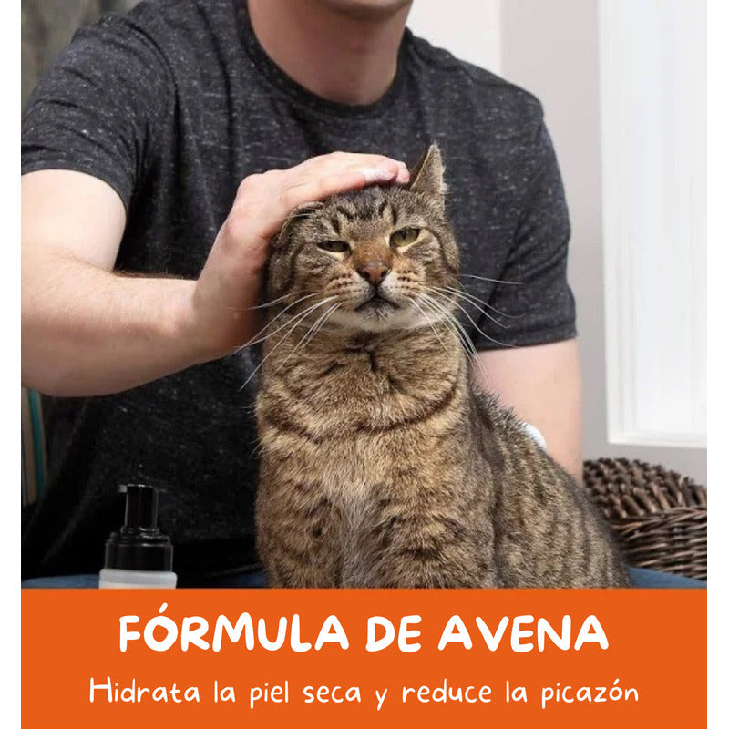 Shampoo Seco Para Gatos Wahl Libre De Enjuague Formula De Avena Fragancia Coco Lima Verbena