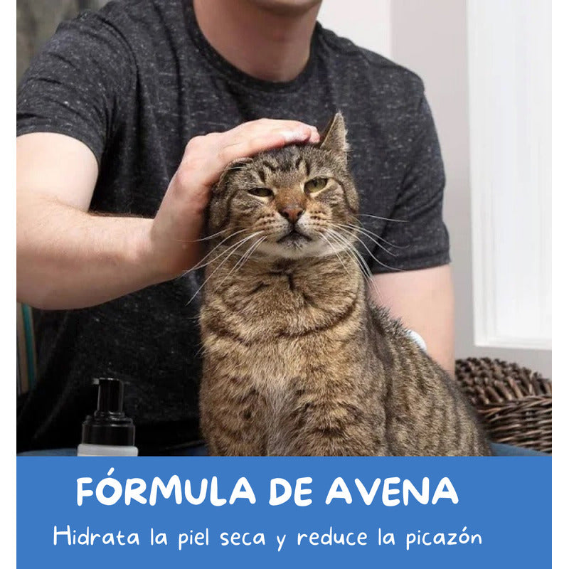 Shampoo Libre De Enjuague Wahl Para Gatos Formula Oatmeal
