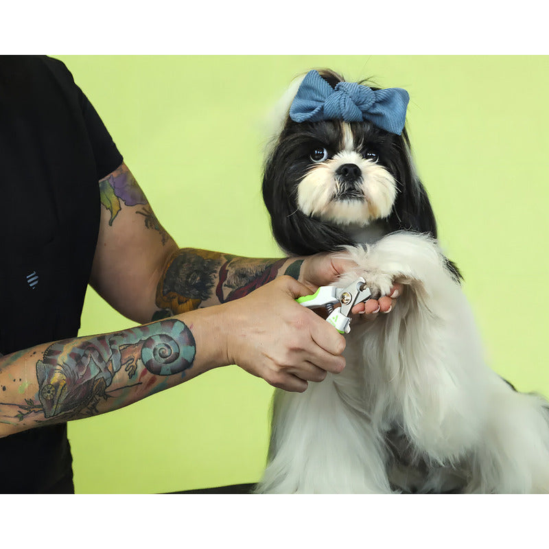 Corta Uñas Para Mascotas Perros Y Gatos Medianos Andis Tijera De Acero Inoxidable Color Verde